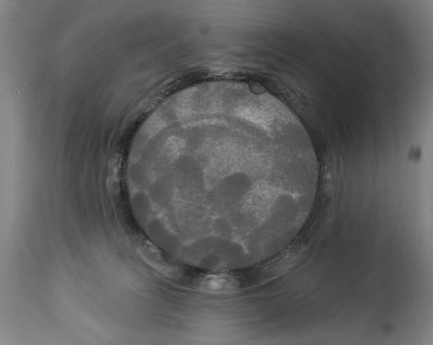 X0000114550275200911091203