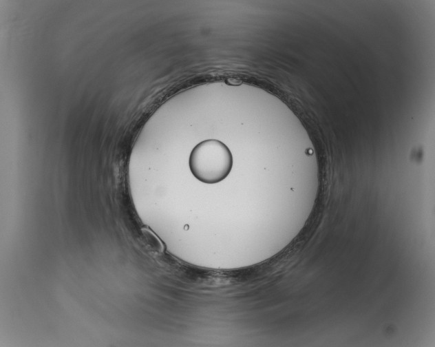 X0000114550276200911091203