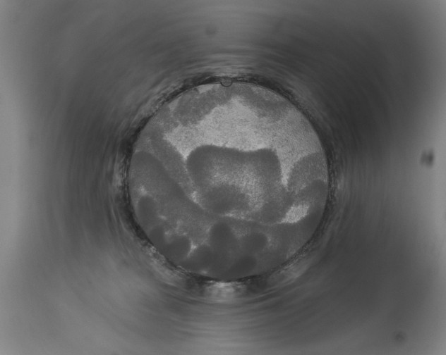 X0000114550277200911091203