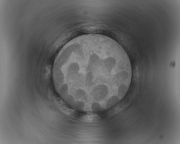 X0000114550278200911091203