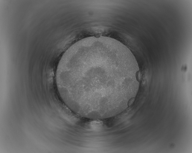 X0000114550279200911091203