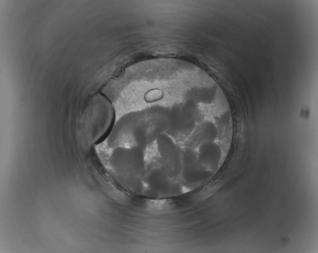 X0000114550281200911091203