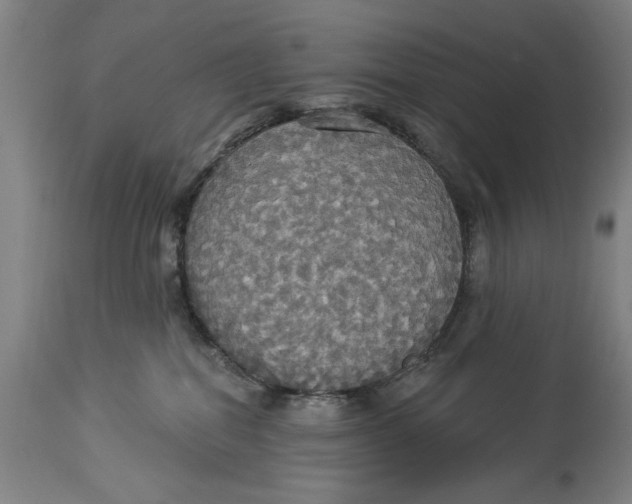 X0000114550282200911091203