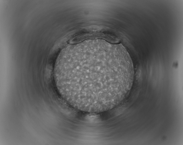 X0000114550283200911091203