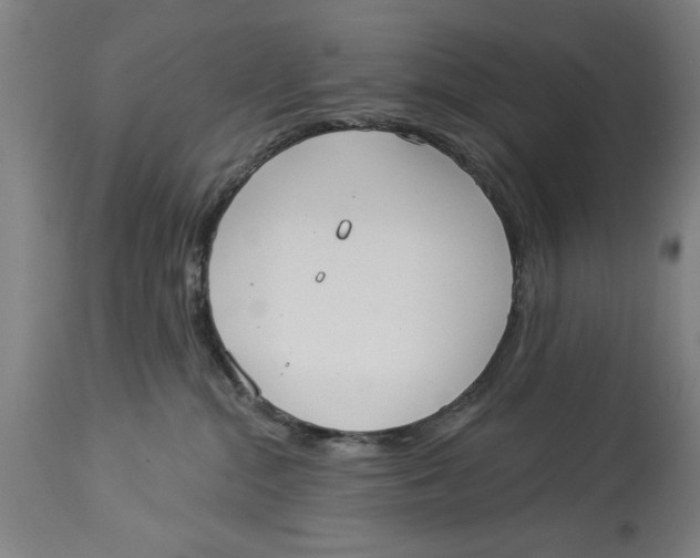 X0000114550284200911091203