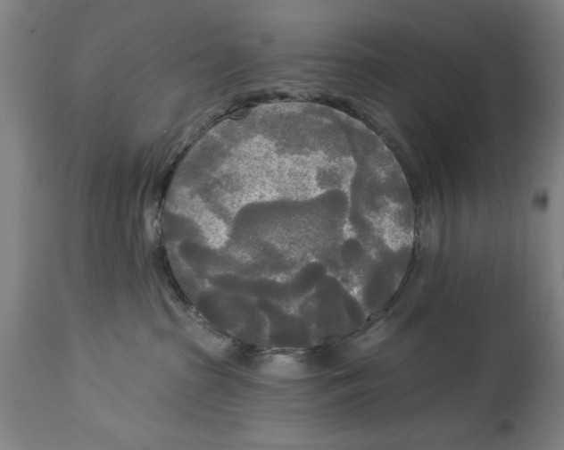 X0000114550285200911091203