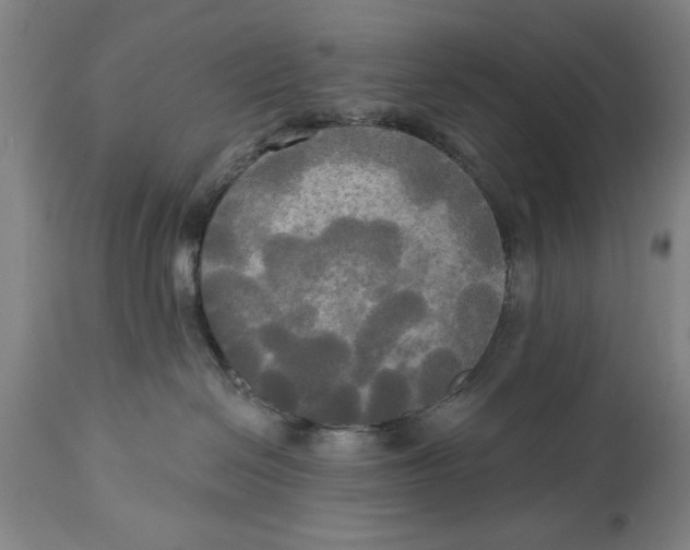 X0000114550286200911091203