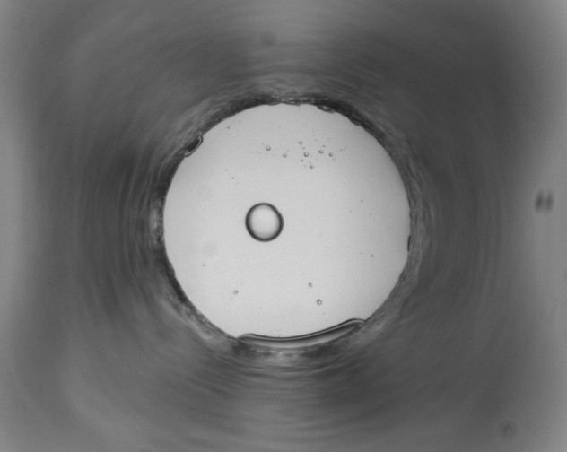 X0000114550288200911091203