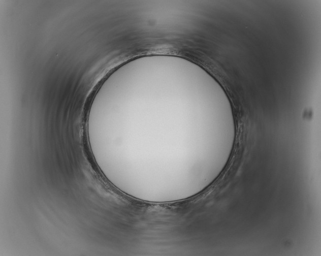 X0000114550290200911091202