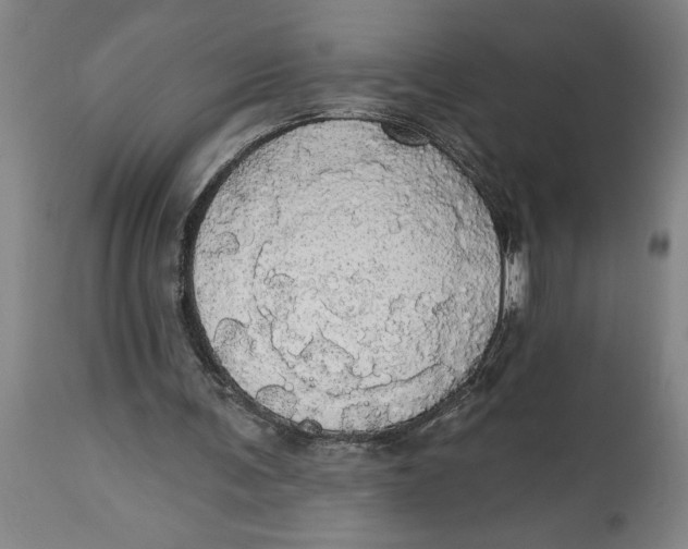 X0000114550291200911091202