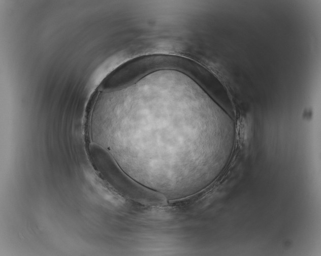 X0000114550292200911091202