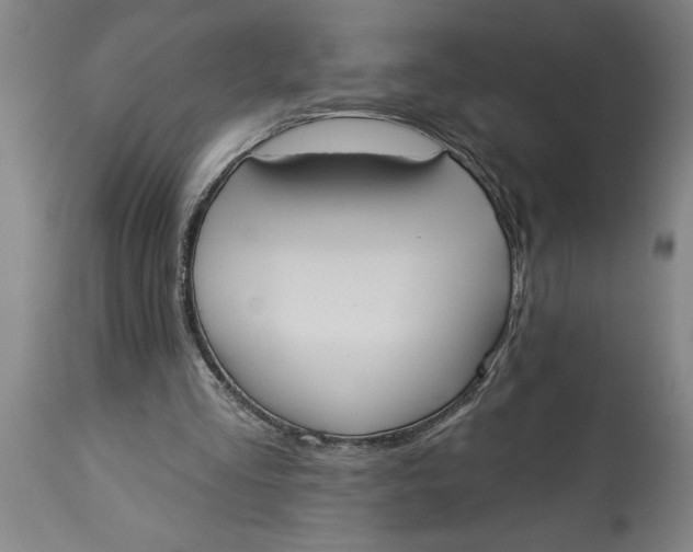 X0000114550293200911091202