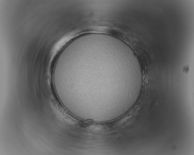 X0000114550294200911091202