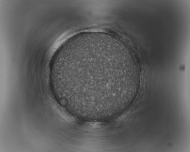 X0000114550295200911091202
