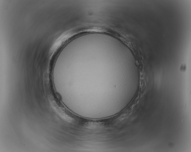 X0000114550296200911091202