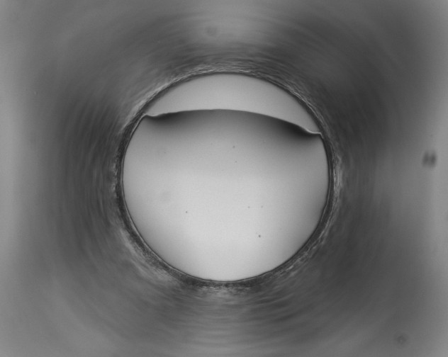 X0000114550297200911091202