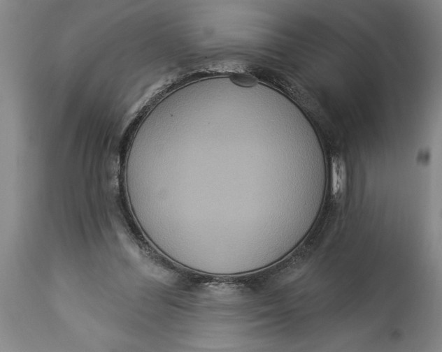 X0000114550300200911091202