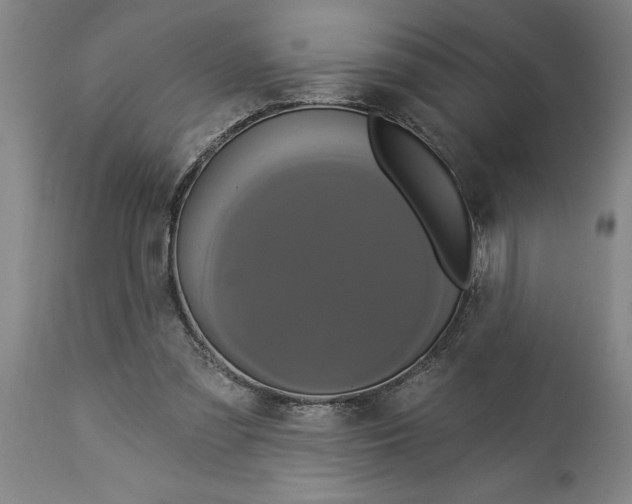 X0000114550301200911091202