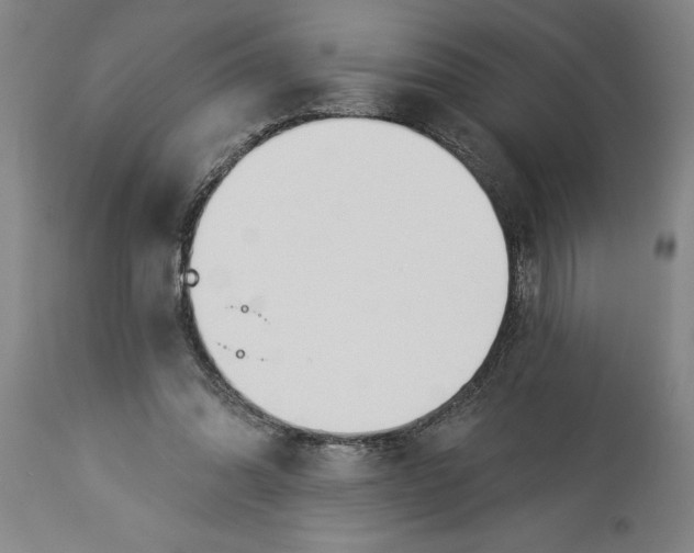 X0000114550302200911091202