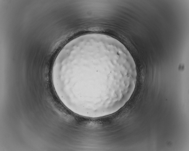 X0000114550303200911091202
