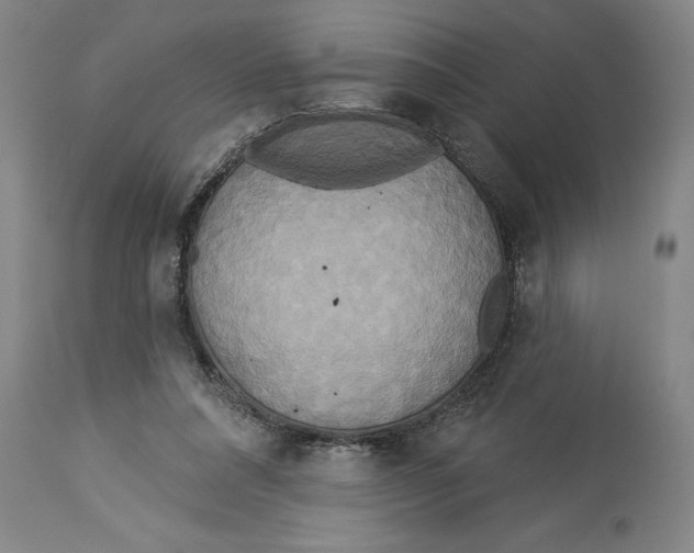 X0000114550304200911091202