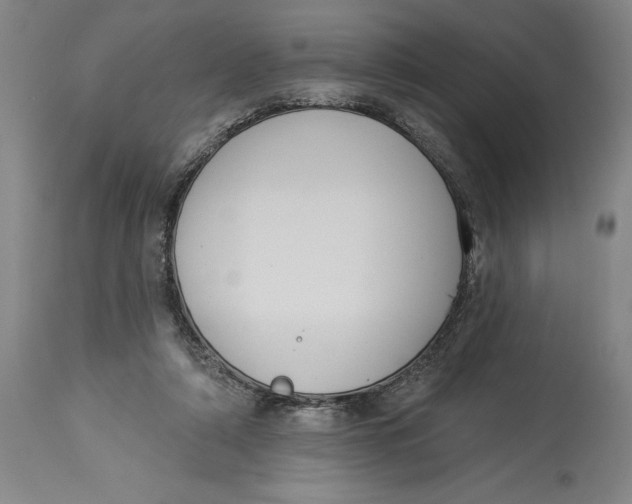 X0000114550306200911091202