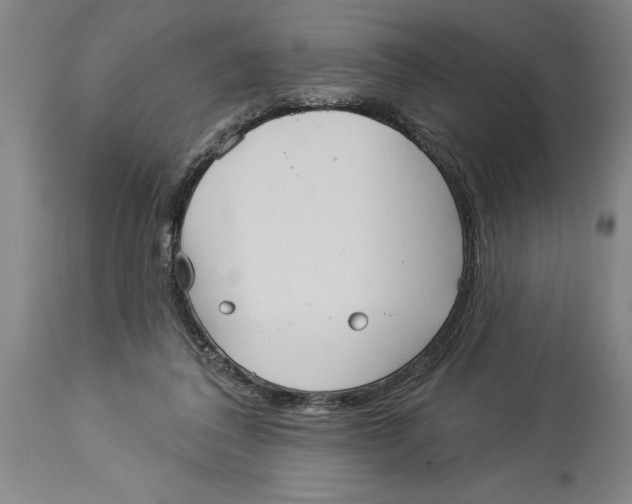 X0000114550308200911091202