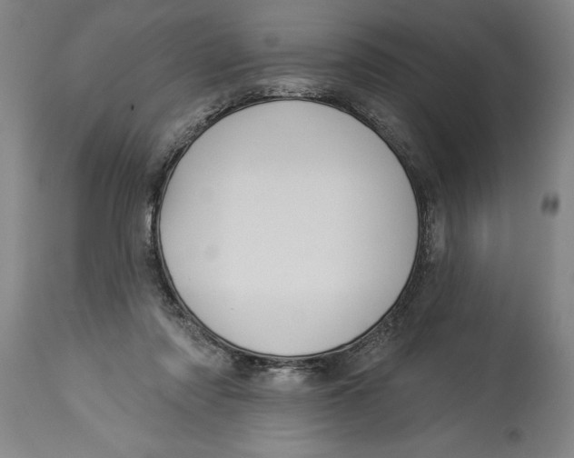X0000114550310200911091202