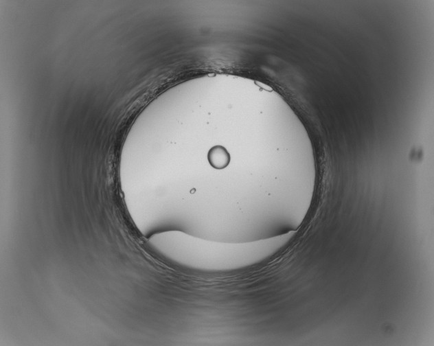 X0000114550313200911091202