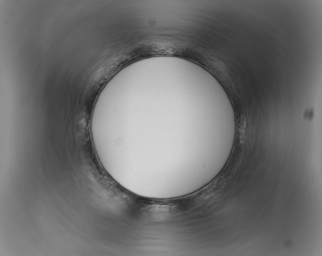 X0000114550314200911091202