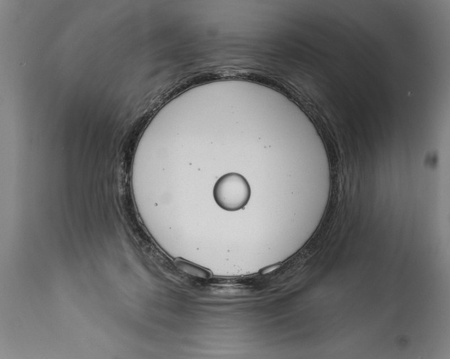 X0000114550316200911091201