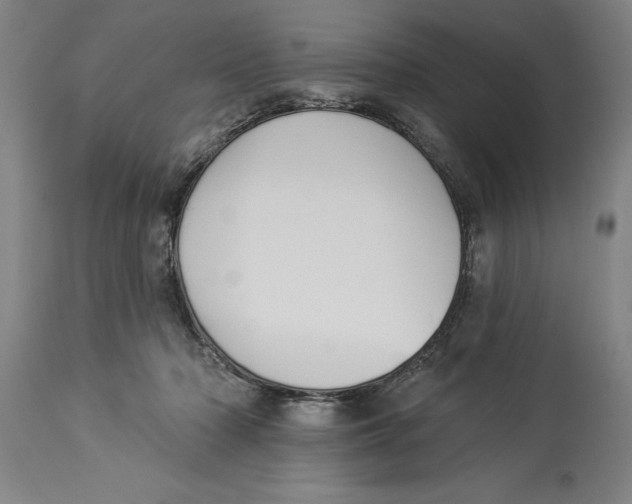 X0000114550318200911091201