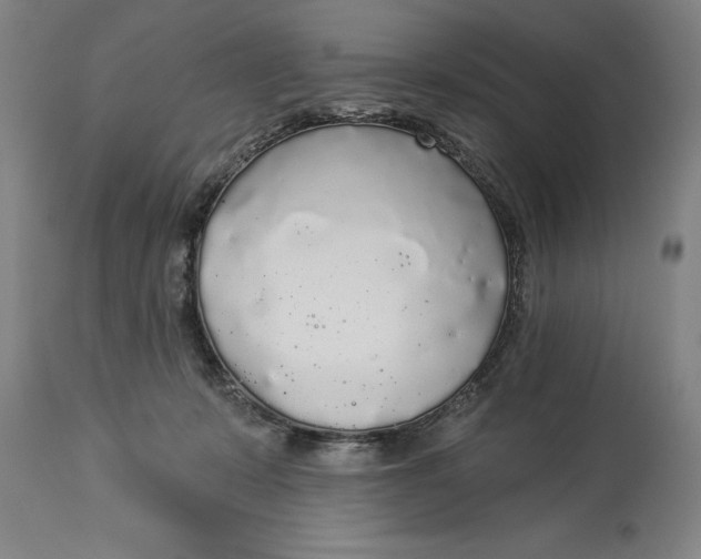 X0000114550319200911091201