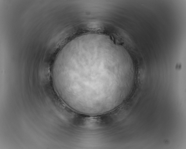 X0000114550320200911091201
