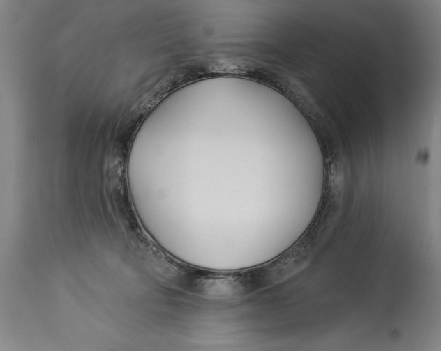 X0000114550322200911091201