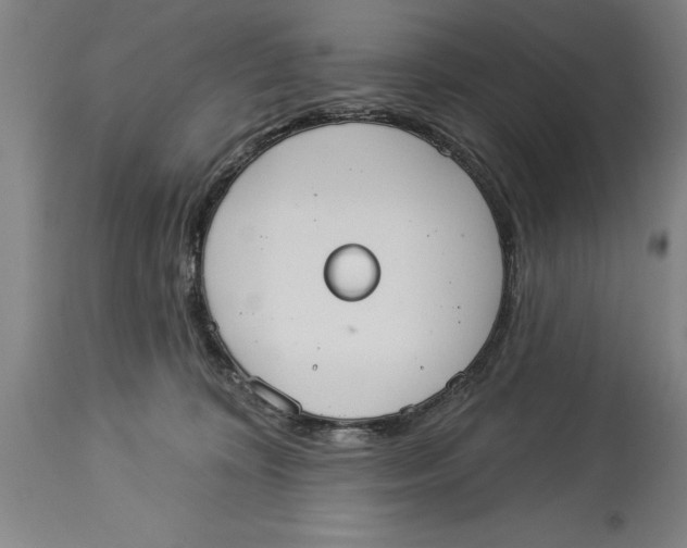 X0000114550324200911091201