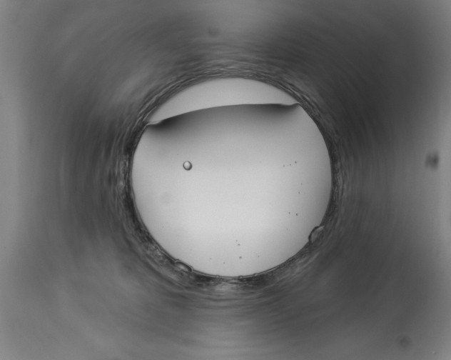 X0000114550325200911091201