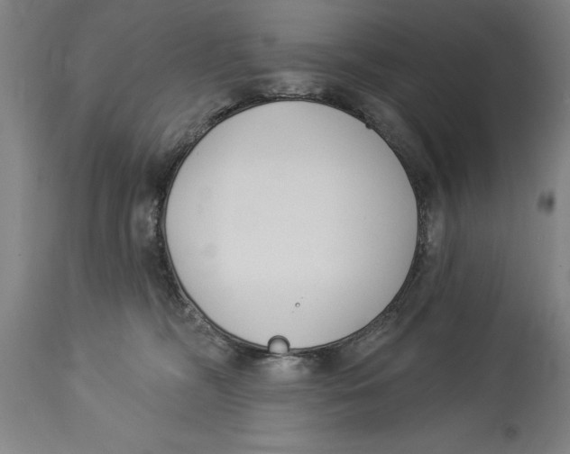 X0000114550326200911091201