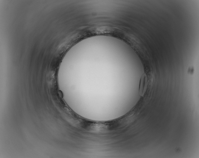 X0000114550327200911091201