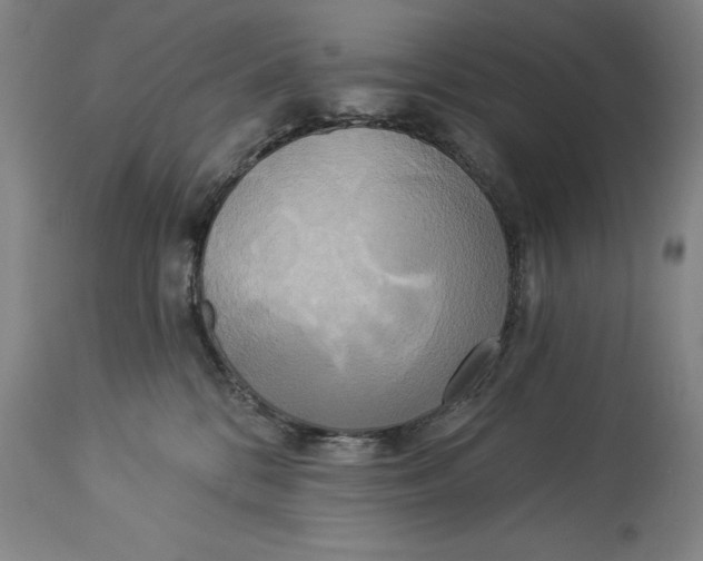 X0000114550328200911091201