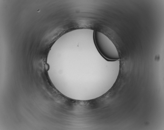 X0000114550329200911091201