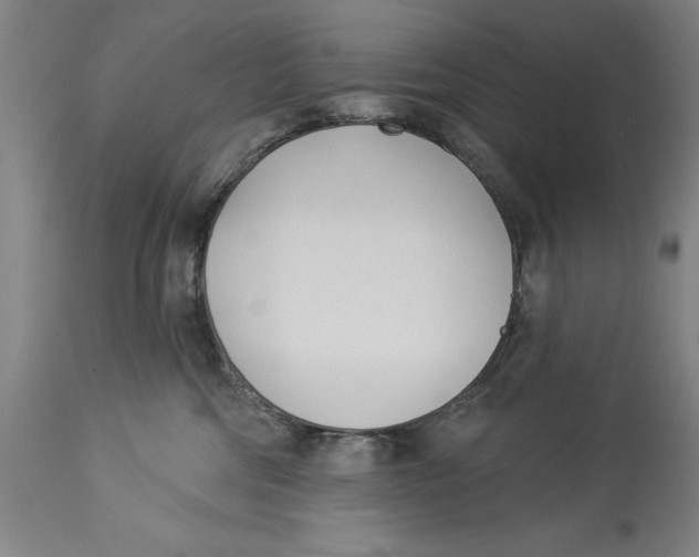 X0000114550330200911091201