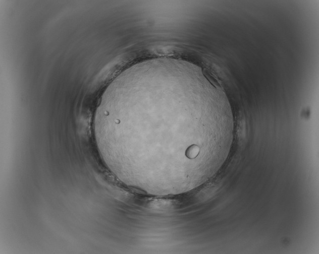 X0000114550332200911091201