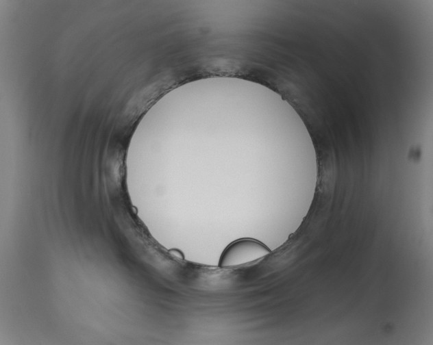 X0000114550334200911091201