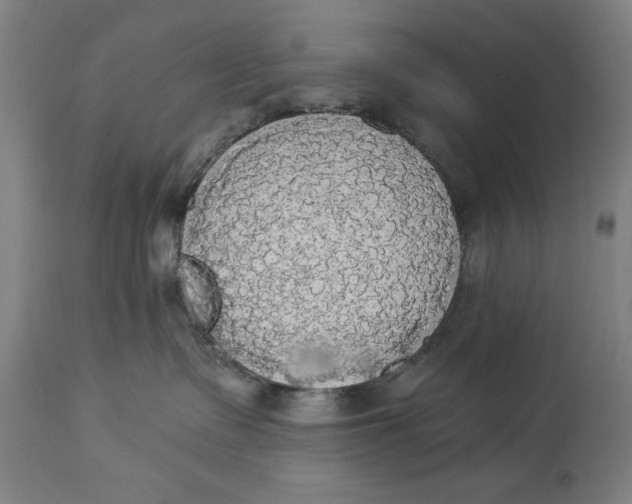 X0000114550335200911091201