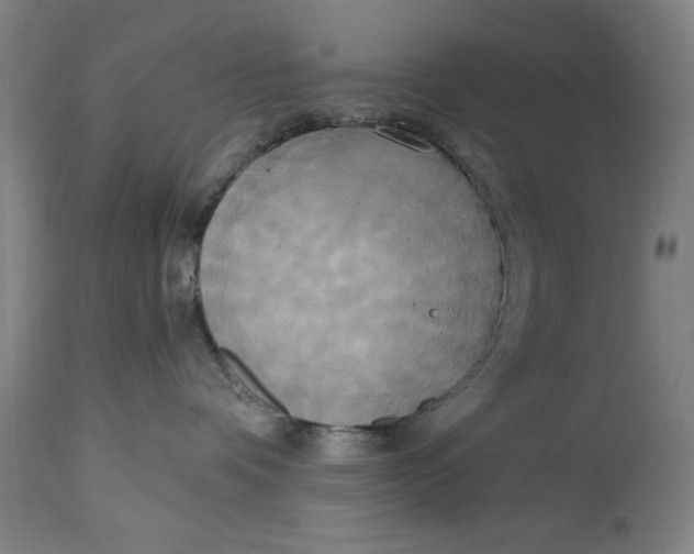 X0000114550336200911091201
