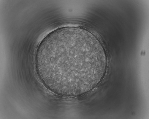 X0000114550337200911091200