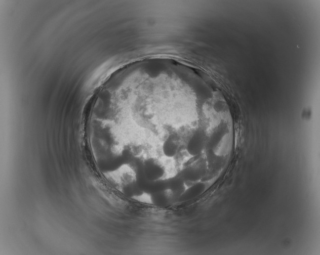 X0000114550339200911091200