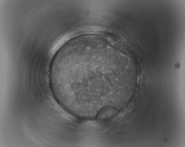 X0000114550341200911091200