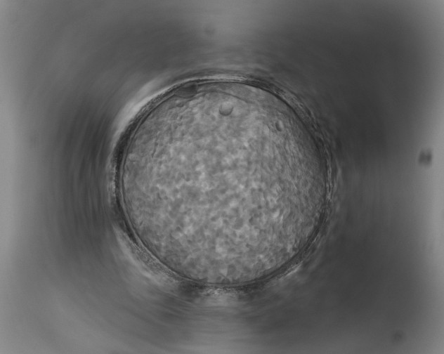 X0000114550343200911091201